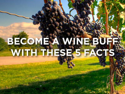 How to become a wine buff