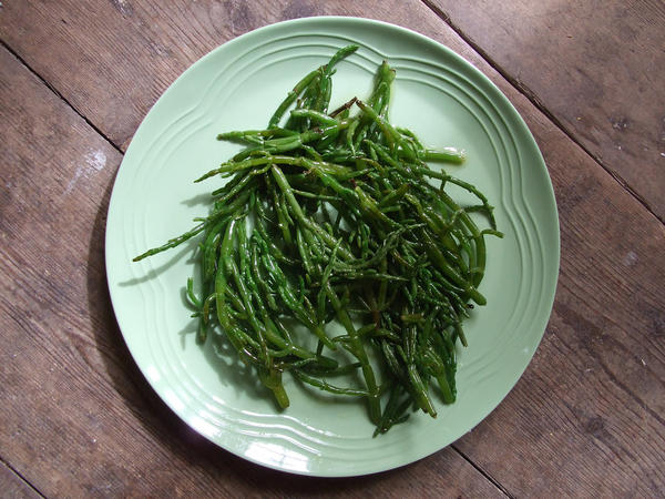 Samphire